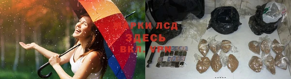 ГАЛЛЮЦИНОГЕННЫЕ ГРИБЫ Алзамай