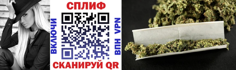 Конопля гибрид Жиздра